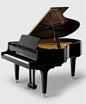 Kawai GL-50 M/PEP �����